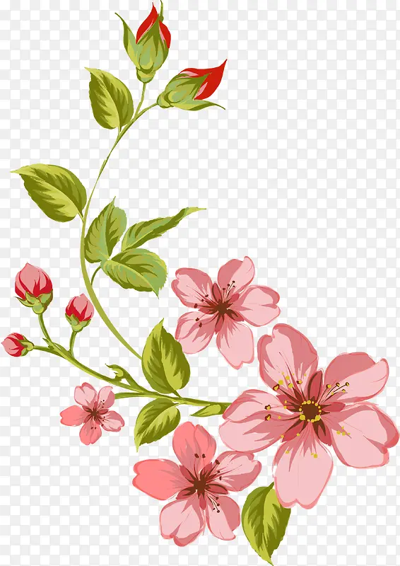 粉色花枝植物