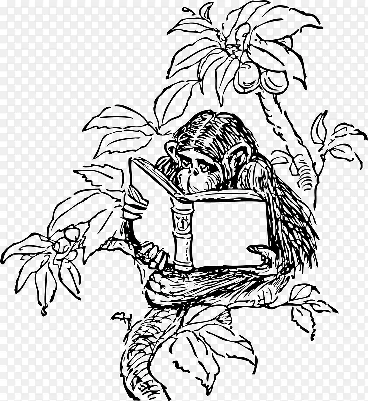 树枝上读书的猴子手绘