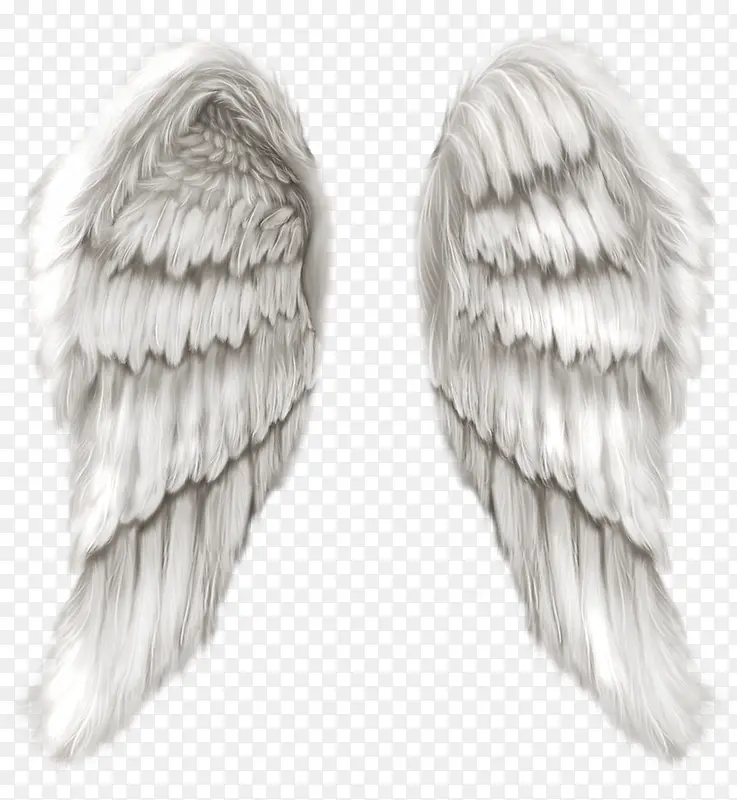 创意手绘合成白色的翅膀造型