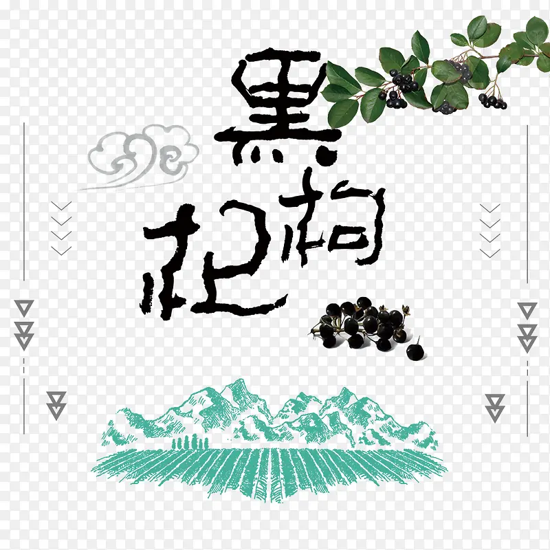 田园风黑枸杞卡通手绘装饰PNG图片素材下载_图片编号9250262-PNG素材网