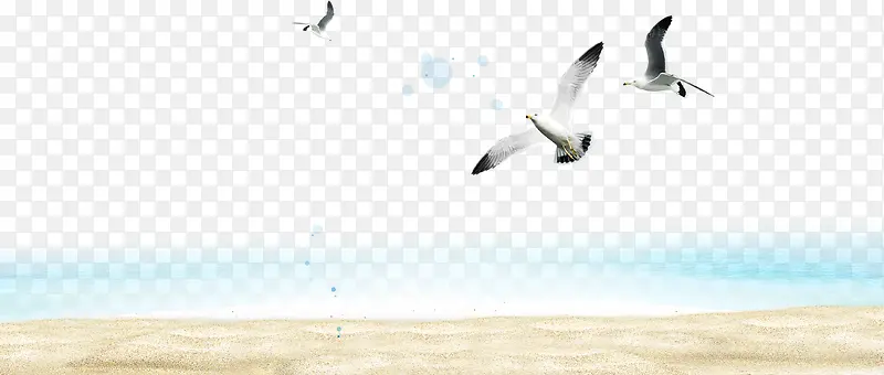 海鸥沙滩海水元素