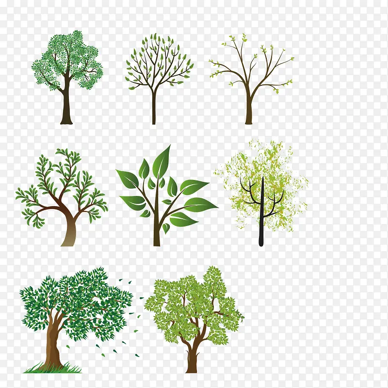 绿色植物树木