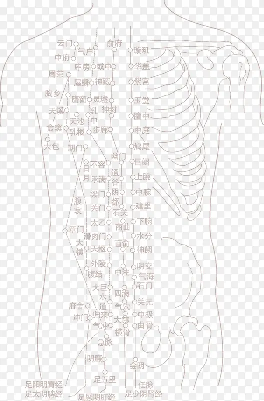 中颖人体脉络图标