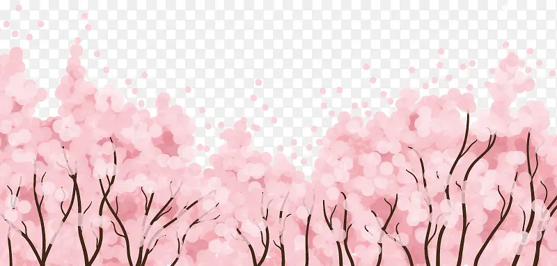 绚烂粉色樱花海