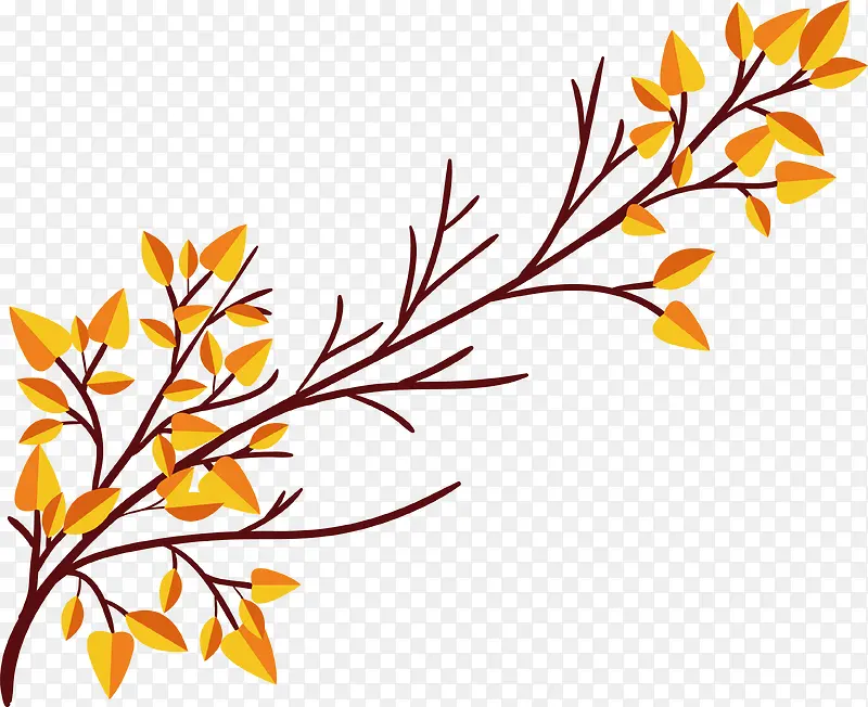 金色的秋天树枝