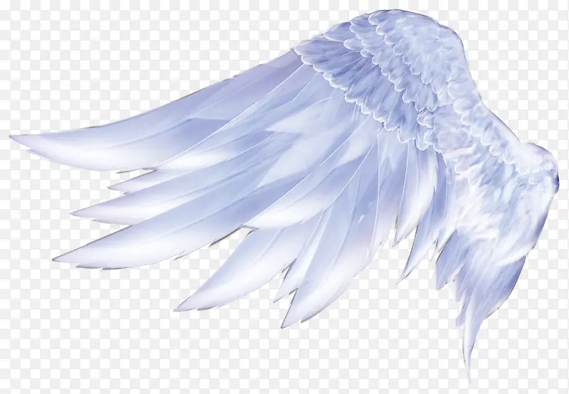 白色唯美翅膀