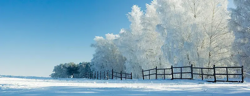 简约唯美海报背景banner