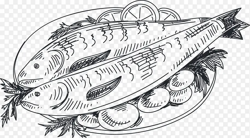 手绘盘装鱼类海鲜线稿