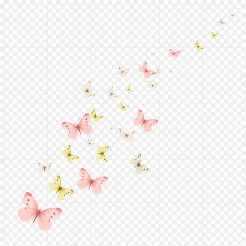 好多蝴蝶