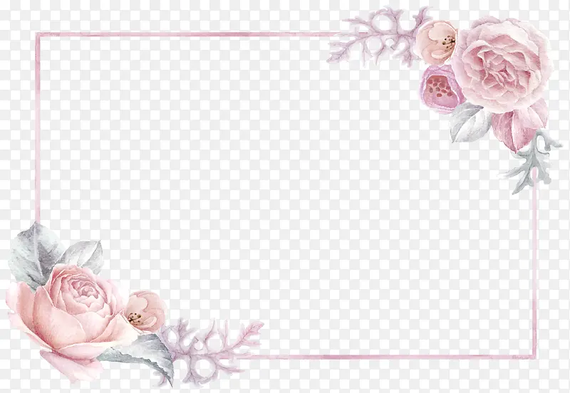 手绘漂亮花朵花框