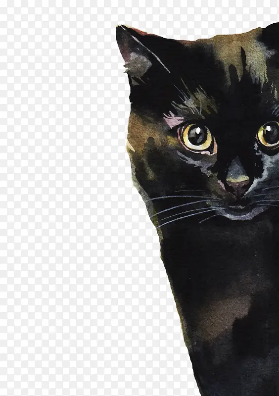 躲藏的猫