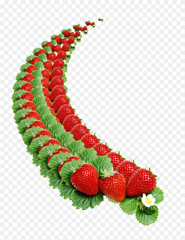 一排草莓