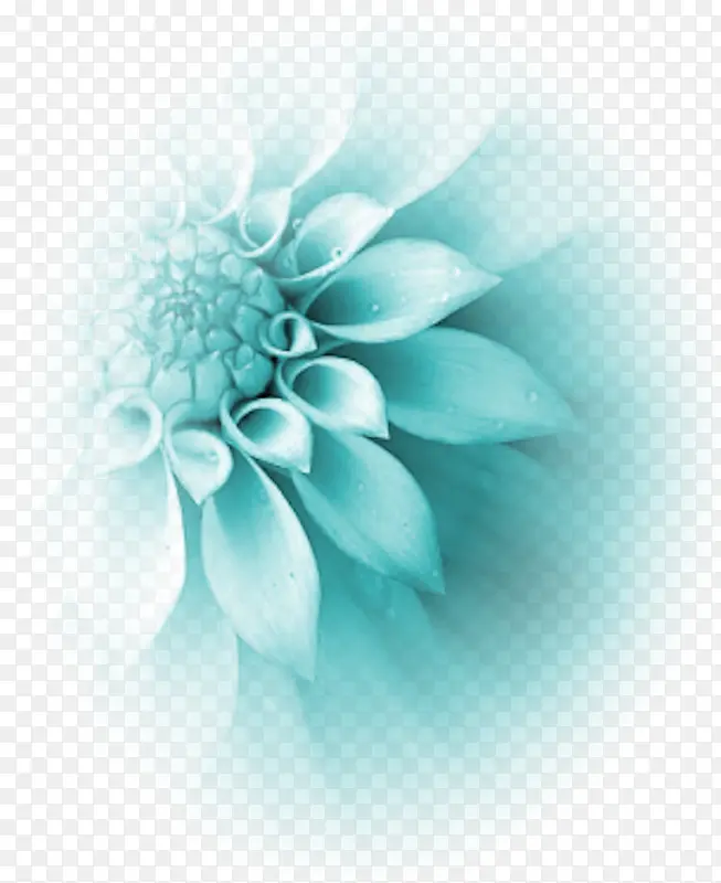 淡蓝色花朵装饰图案免抠素材