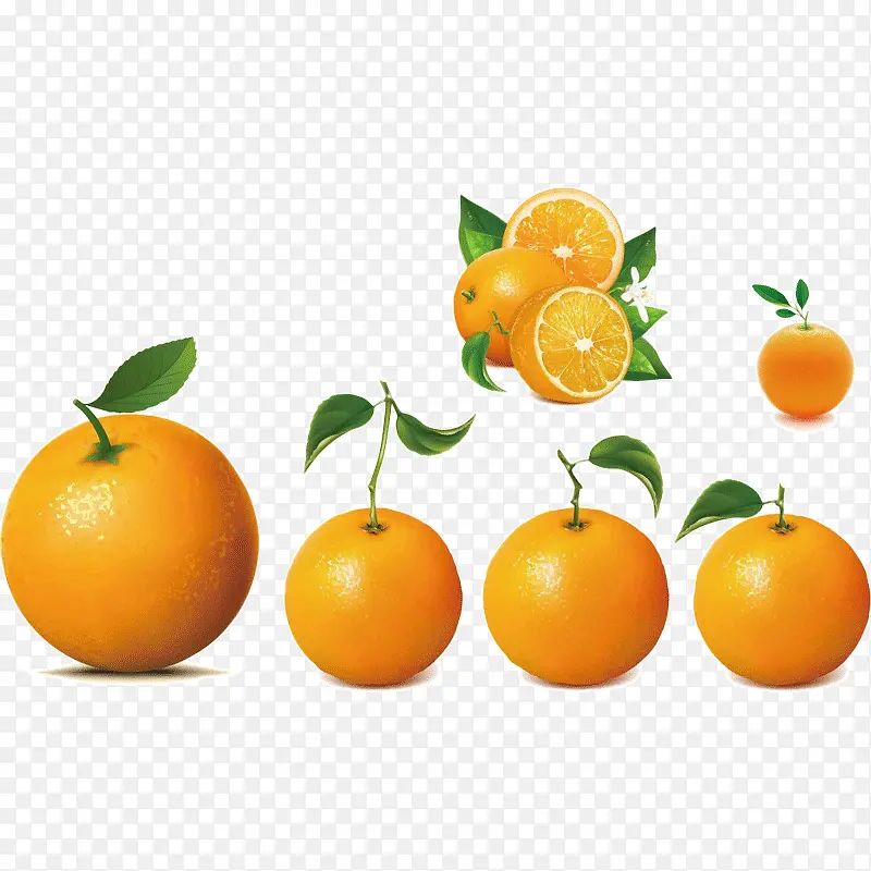 写实橙子水果组合
