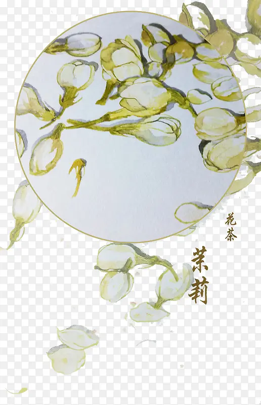 茉莉花茶图标