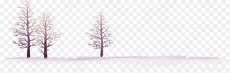 冬季户外美景树木