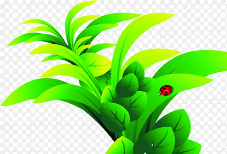 绿色树丛和右侧叶子上红色瓢虫