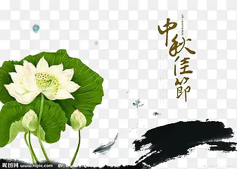 中秋佳节