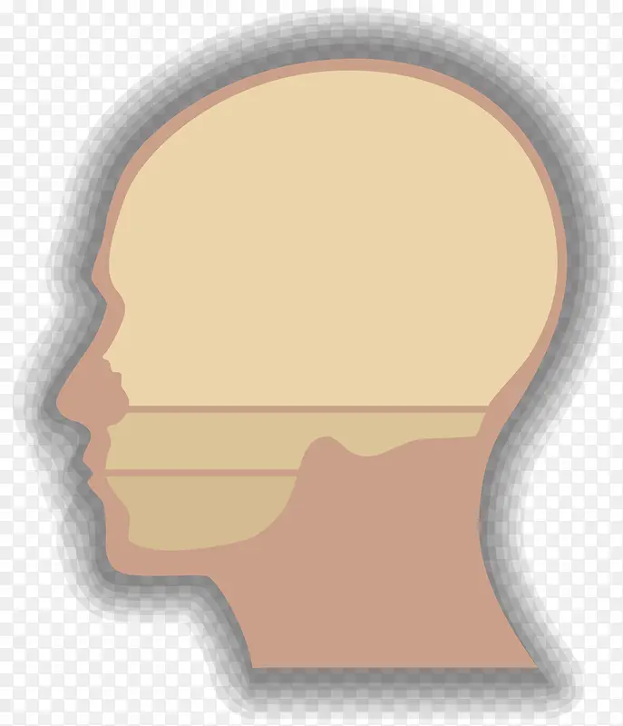 人体的头部器官卡通