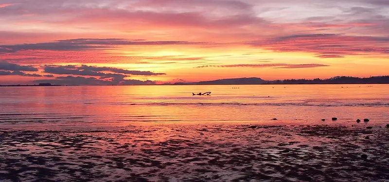 夕阳天空大海背景