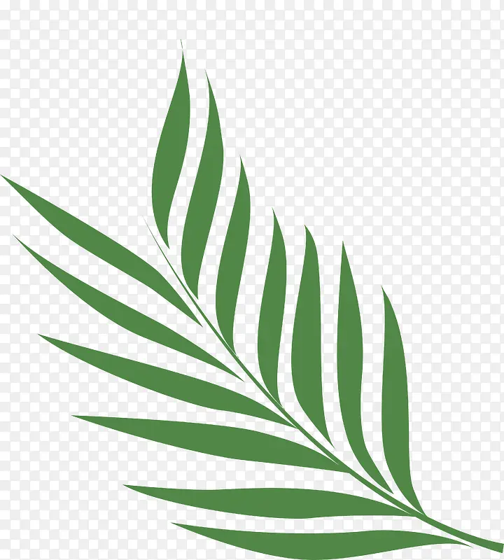矢量绿色植物棕榈叶图