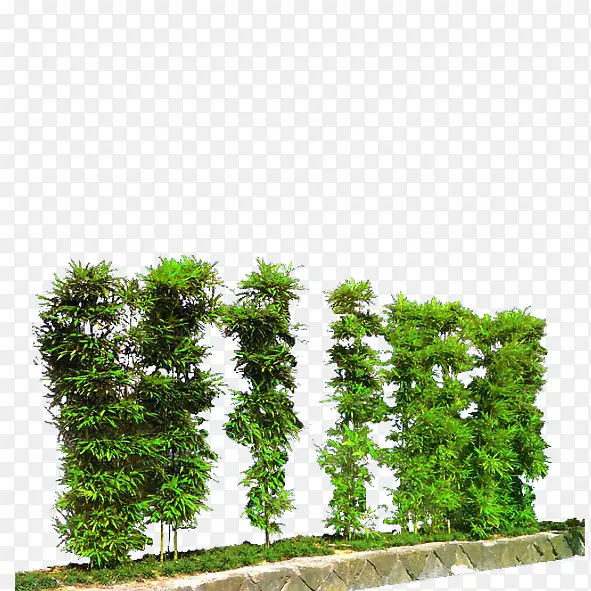 绿色植物PNG图片素材下载_图片编号9279754-PNG素材网