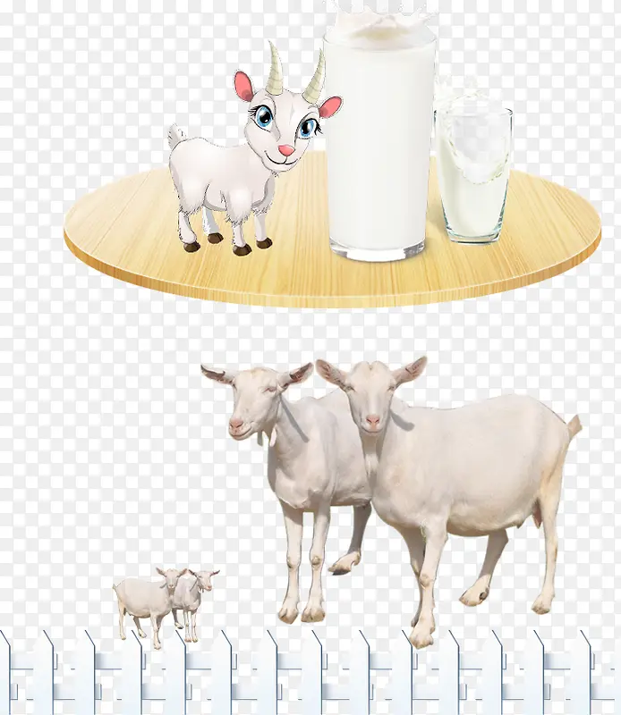 绵羊羊奶