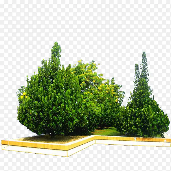 绿色植物PNG图片素材下载_图片编号9279756-PNG素材网