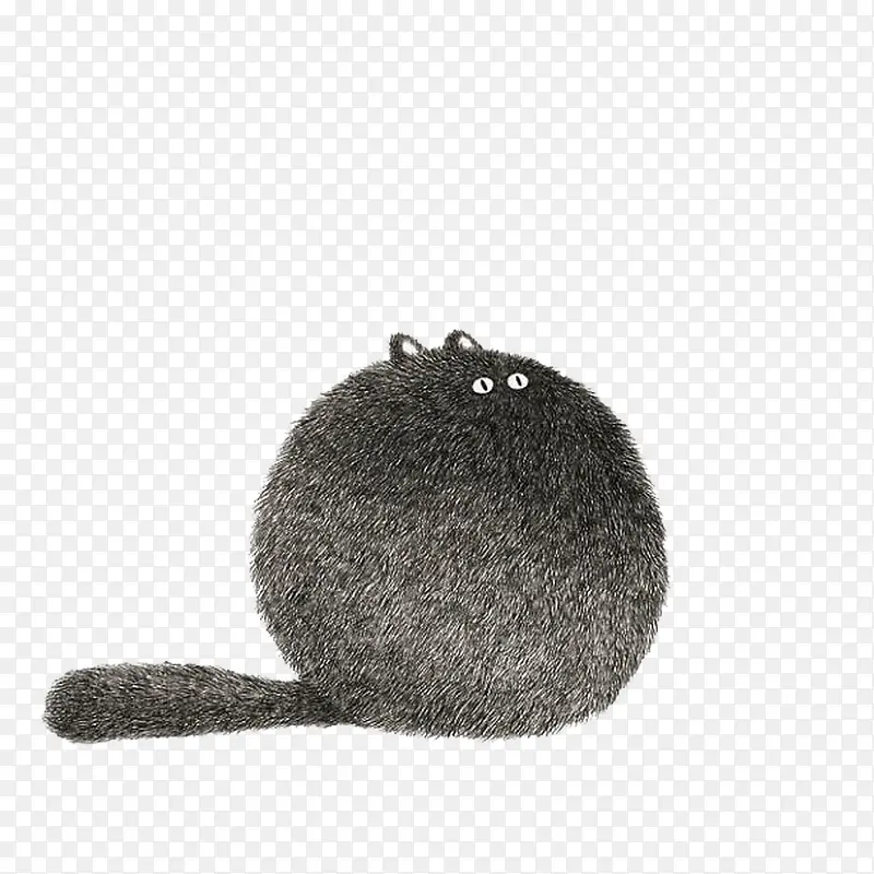 一直球形的黑色猫