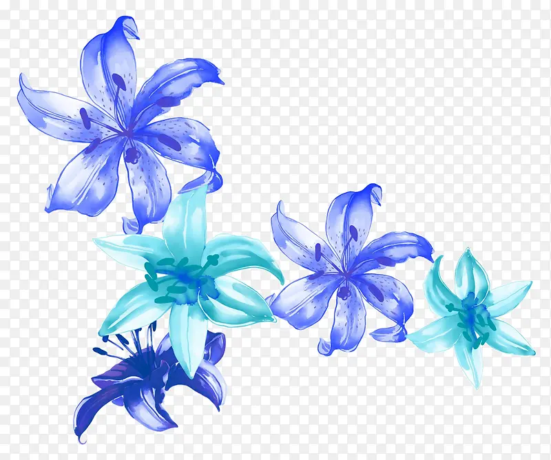 手绘百合花花朵