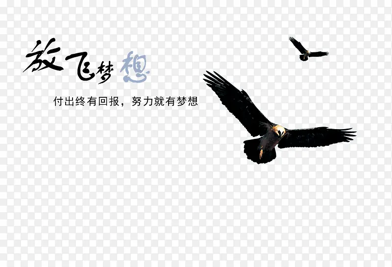 放飞梦想PNG图片素材下载_图片编号9285400-PNG素材网