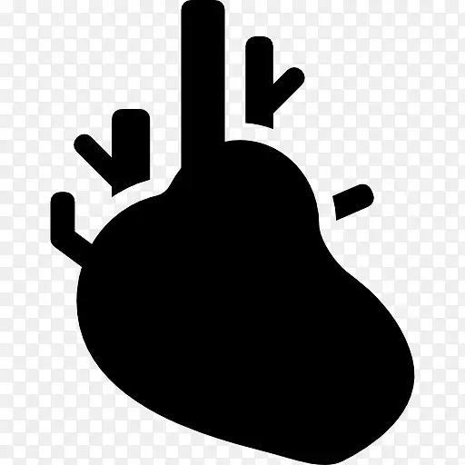 心脏器官图标