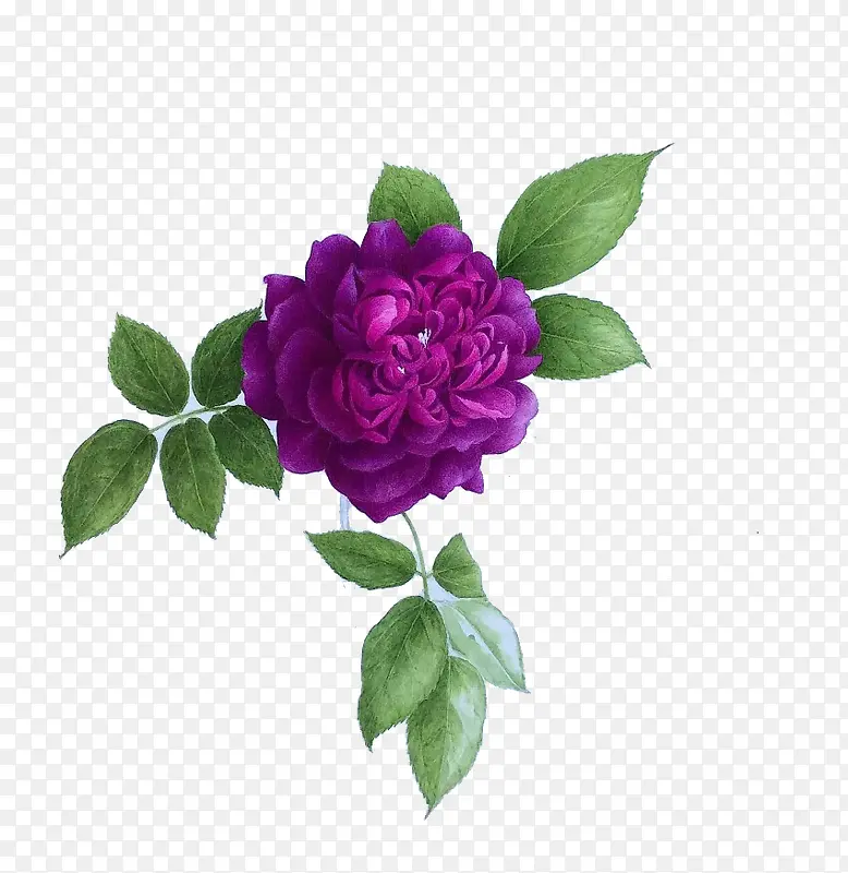 一朵紫色装饰手绘花束