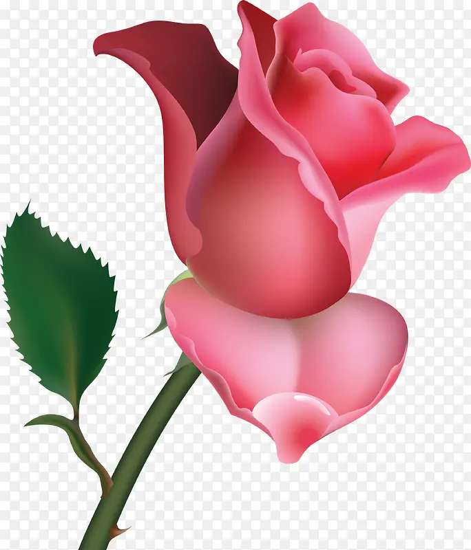 粉色玫瑰三联画图片