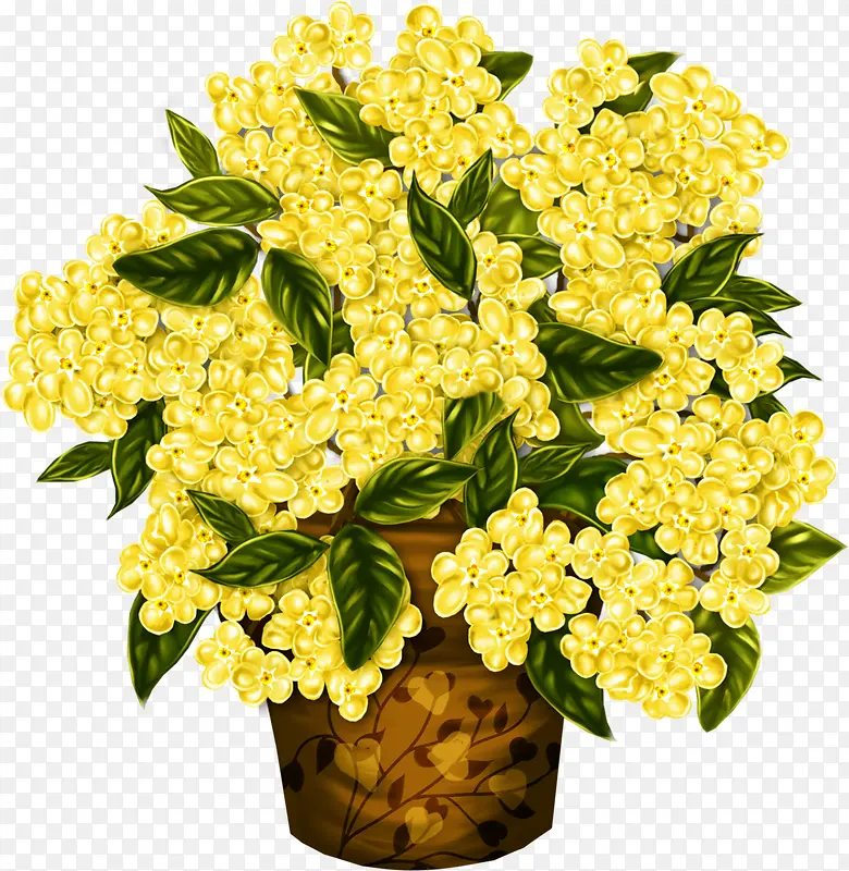 黄色花盆