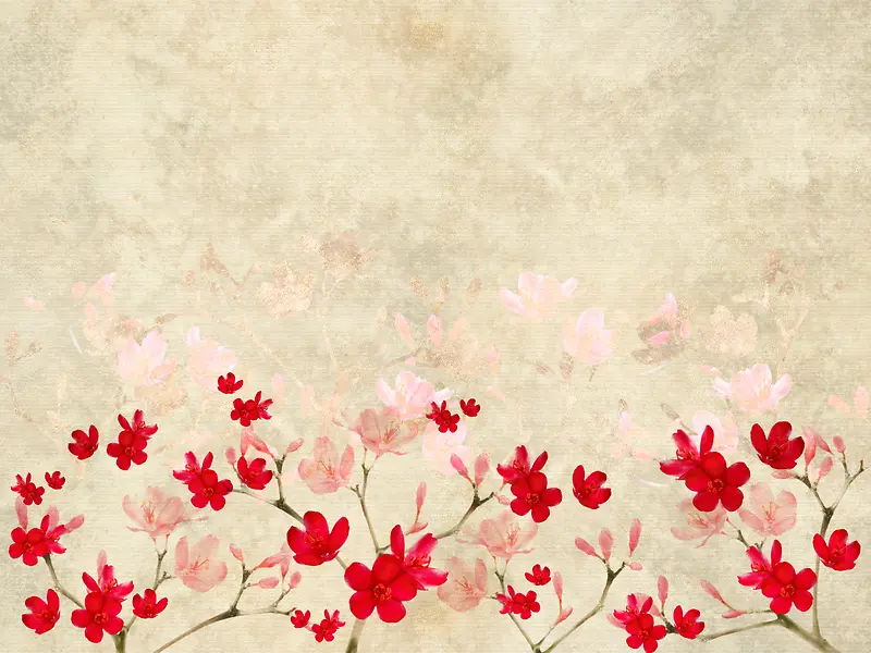 漂亮花卉背景