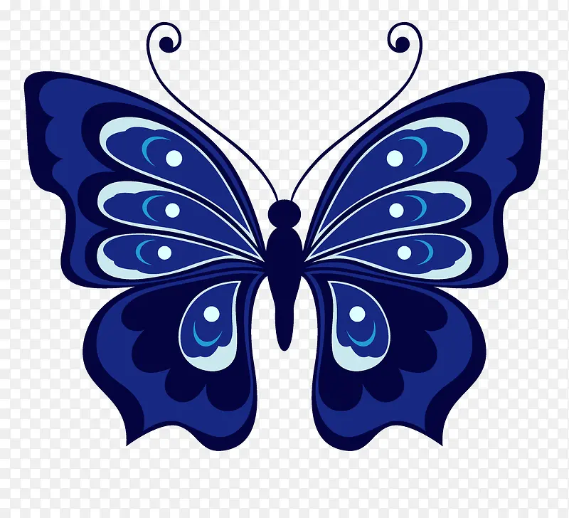 彩绘蓝色花蝴蝶标本