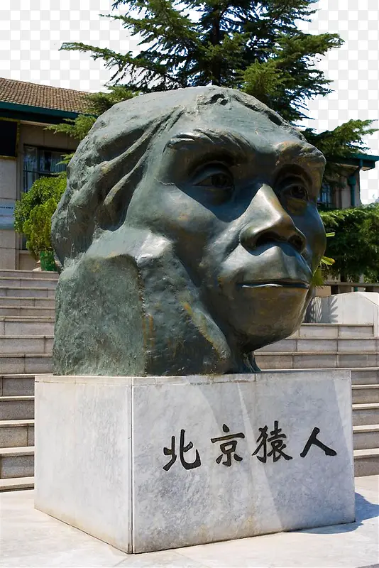 北京猿人头部雕像