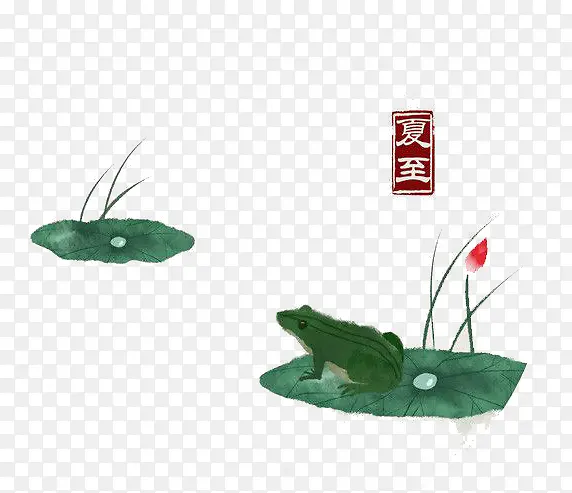 水彩夏至