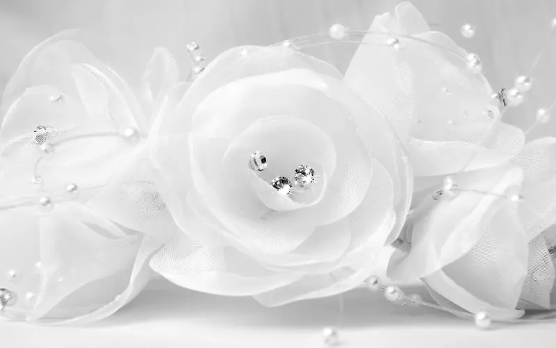 婚庆白纱珍珠花朵背景
