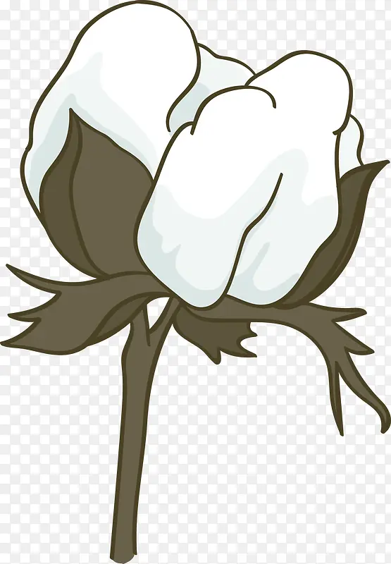 卡通棉花花朵png图