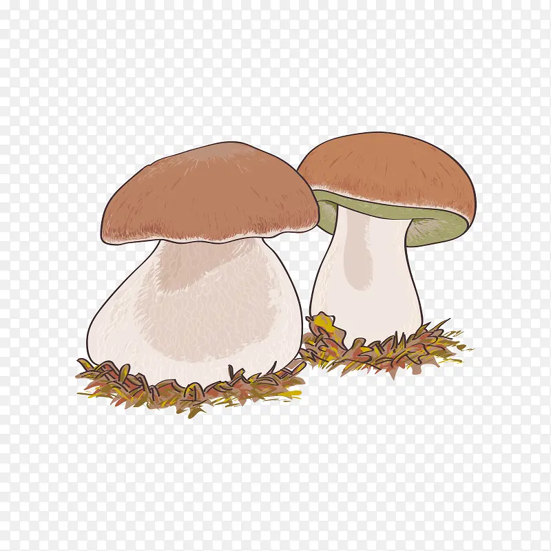 蘑菇 菌类 菇类PNG图片素材下载_图片编号9337087-PNG素材网