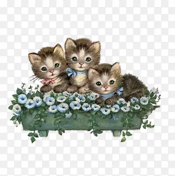 花堆中可爱的小猫