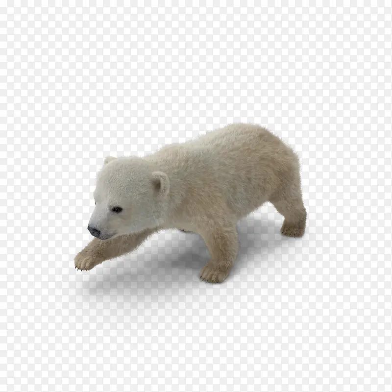 迈步北极熊