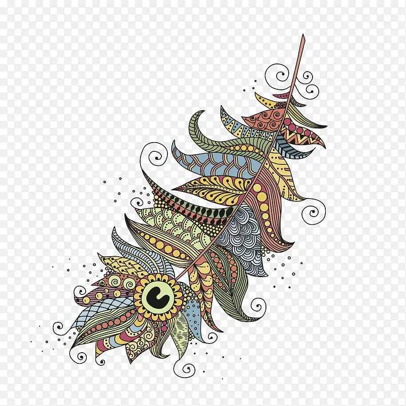 卡通手绘彩色的羽毛