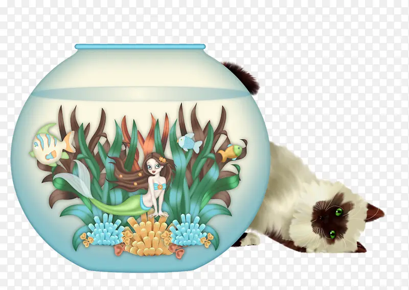 猫咪和鱼缸