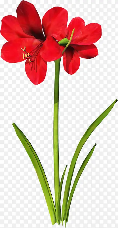 水彩花卉素材鲜花花卉 精美红色
