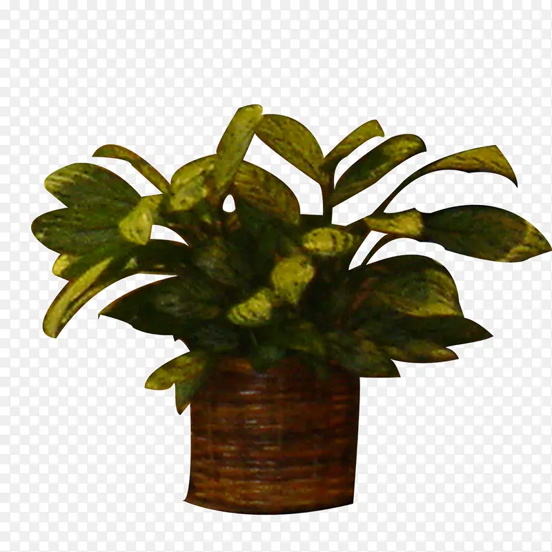 植物盆栽PNG图片素材下载_图片编号9344984-PNG素材网