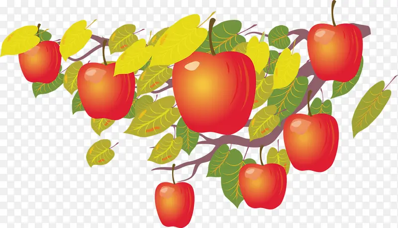 卡通手绘苹果树