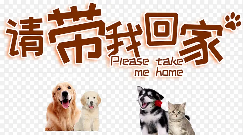 请带我回家艺术字